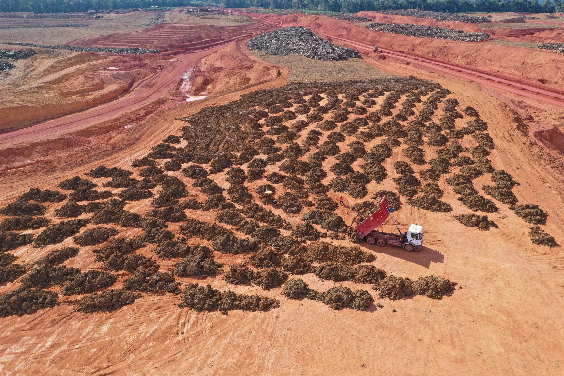 Vista aérea de pátio aberto na floresta, com leiras de galhos e toras enfileiradas e um caminhão basculante